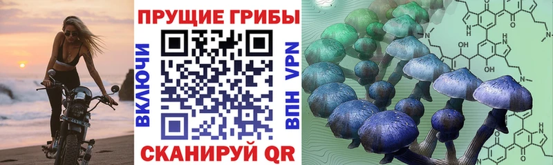 Галлюциногенные грибы Magic Shrooms  Нурлат 
